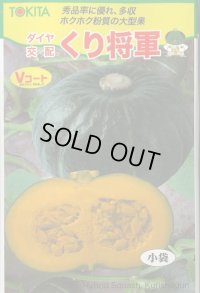送料無料　[かぼちゃ]　くり将軍　7粒　トキタ種苗(株)