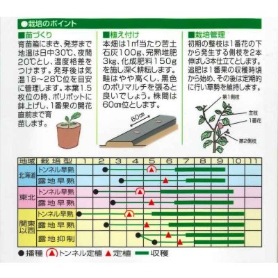 画像2: [なす]　くろべえ　0.6ml（およそ70粒）　（株）渡辺採種場