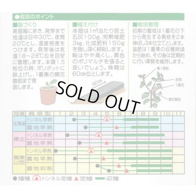 画像2: 送料無料　[なす]　くろべえ　0.6ml(およそ70粒)　(株)渡辺採種場