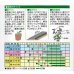 画像2: 送料無料　[なす]　くろべえ　0.6ml(およそ70粒)（10%増量）(株)渡辺採種場 (2)