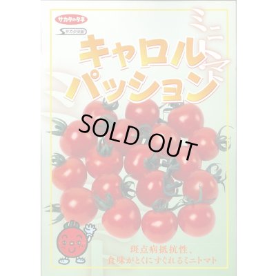 画像2: 送料無料　[トマト/ミニトマト]　キャロルパッション　12粒　(株)サカタのタネ　実咲450（002826）