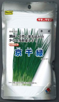 [ねぎ]　京千緑　2dl　タキイ種苗