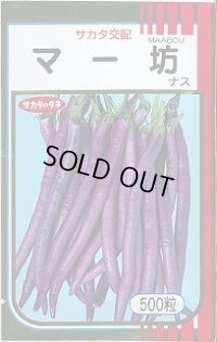 送料無料　[なす]　マー坊　500粒　(株)サカタのタネ
