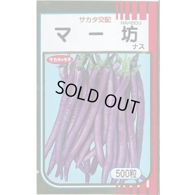 画像1: 送料無料　[なす]　マー坊　500粒　(株)サカタのタネ