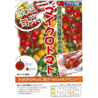 画像2: [トマト]　マイクロトマト　20粒　　アサヒ育成