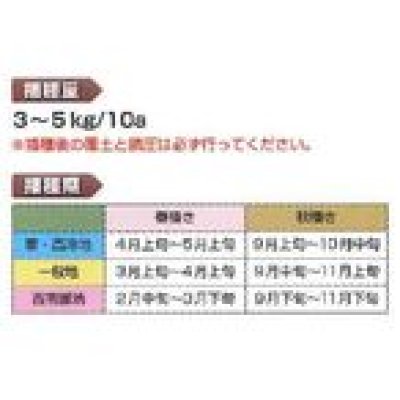 画像2: [緑肥]　ヘアリーベッチ　寒太郎　(サバン)　1kg　雪印種苗(株)