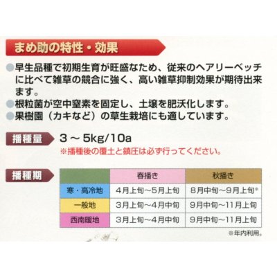 画像3: [緑肥]　ヘアリーベッチ　まめ助　1kg　雪印種苗(株)