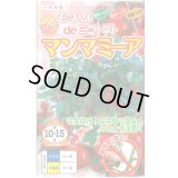[トマト/ミニトマト]　そのまんまdeミニトマト（マンマミーア）　15粒　ナント種苗（株）