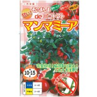 [トマト/ミニトマト]　そのまんまdeミニトマト（マンマミーア）　15粒　ナント種苗（株）