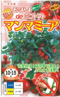 [トマト/ミニトマト]　そのまんまdeミニトマト（マンマミーア）　15粒　ナント種苗（株）