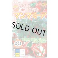 [トマト/ミニトマト]　そのまんまdeミニトマト（マンマミーア）　15粒　ナント種苗