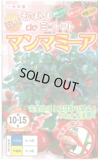 [トマト/ミニトマト]　そのまんまdeミニトマト（マンマミーア）　15粒　ナント種苗（株）