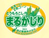 送料無料！青果シール　とうもろこし　まるかじり　1000枚入り   渡辺農事