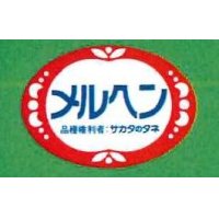 送料無料！青果シールかぼちゃ　メルヘン　1000枚入り　サカタのタネ