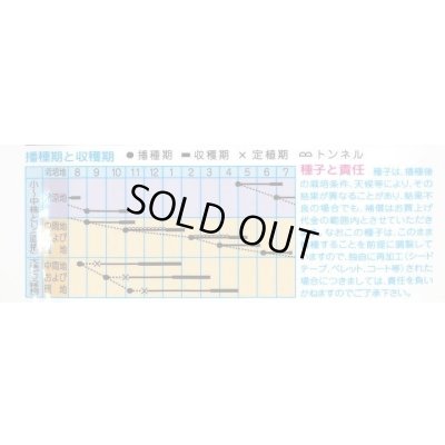 画像2: 送料無料　[葉物]　京野菜　みぶな(晩生種)　7ml　(株)タカヤマシード