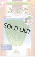 送料無料　[葉物]　京野菜　みぶな(晩生種)　7ml　(株)タカヤマシード