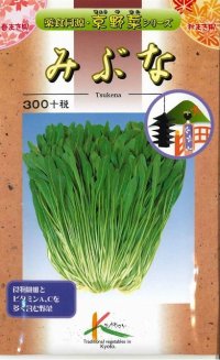 [葉物]　京野菜　みぶな（晩生種）　7ml （株）タカヤマシード