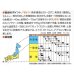 画像2: 送料無料　[イタリア野菜]　ミケランジェロ　50粒　トキタ種苗(株) (2)