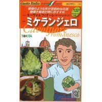 [イタリア野菜]　ミケランジェロ　５０粒   トキタ種苗（株）