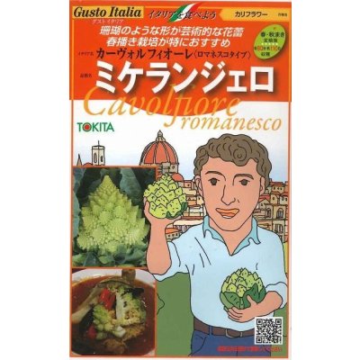 画像1: 送料無料　[イタリア野菜]　ミケランジェロ　50粒　トキタ種苗(株)