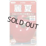送料無料　[トマト]　麗夏　21粒　(株)サカタのタネ　実咲550 （002815）