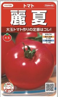 送料無料　[トマト]　麗夏　21粒　(株)サカタのタネ　実咲550 （002815）