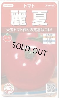 送料無料　[トマト]　麗夏　21粒　(株)サカタのタネ　実咲550 （002815）