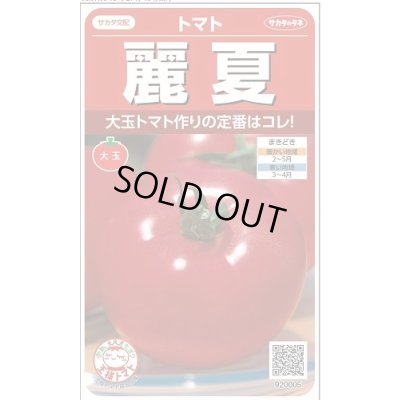 画像1: 送料無料　[トマト]　麗夏　21粒　(株)サカタのタネ　実咲550 （002815）