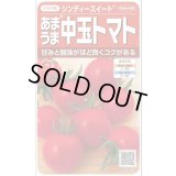 送料無料　[トマト/中玉トマト]　シンディースイート　約21粒　（株）サカタのタネ 実咲550（002816）