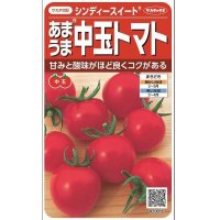 [トマト/中玉トマト]　シンディースイート　約21粒（実咲シリーズ）