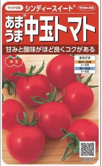 [トマト/中玉トマト]　シンディースイート　約21粒（実咲シリーズ）