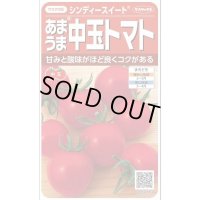 送料無料　[トマト/中玉トマト]　シンディースイート　約21粒　（株）サカタのタネ 実咲550（002816）