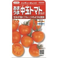 [トマト/中玉トマト]　シンディーオレンジ　１3粒　　サカタのタネ（株）実咲500
