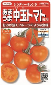 [トマト/中玉トマト]　シンディーオレンジ　１3粒　　サカタのタネ（株）実咲500