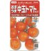 画像1: [トマト/中玉トマト]　シンディーオレンジ　１3粒　　サカタのタネ（株）実咲500 (1)