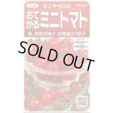 送料無料　[トマト/ミニトマト]　ミニキャロル　約14粒　(株)サカタのタネ　実咲450（002818）