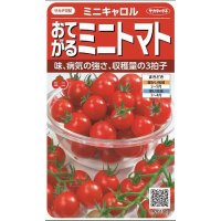 [トマト/ミニトマト]　ミニキャロル　約14粒　サカタのタネ（株）　 実咲400