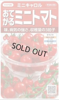 送料無料　[トマト/ミニトマト]　ミニキャロル　約14粒　(株)サカタのタネ　実咲450（002818）