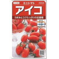 [トマト/ミニトマト]　アイコ　17粒 　サカタのタネ（株）実咲500