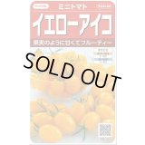 送料無料　[トマト/ミニトマト]　イエローアイコ　13粒　(株)サカタのタネ実咲550（002823）