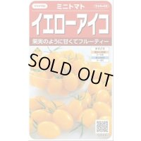 送料無料　[トマト/ミニトマト]　イエローアイコ　13粒　(株)サカタのタネ実咲550（002823）