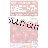 送料無料　[トマト/ミニトマト]　キャロルロゼ(すずなりピンク)13粒　(株)サカタのタネ実咲550（002825）