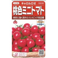 [トマト/ミニトマト]　キャロルロゼ（すずなりピンク）13粒　サカタのタネ（株）実咲500