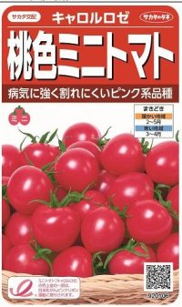 [トマト/ミニトマト]　キャロルロゼ（すずなりピンク）13粒　サカタのタネ（株）実咲500