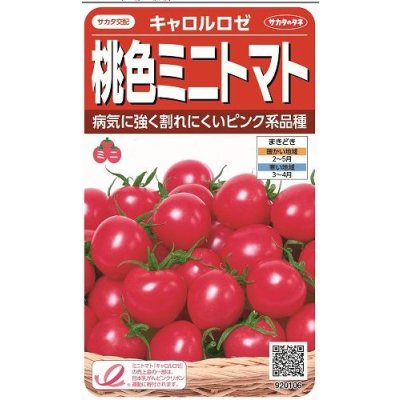 画像1: [トマト/ミニトマト]　キャロルロゼ（すずなりピンク）13粒　サカタのタネ（株）実咲500