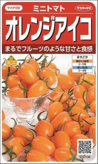 [トマト/ミニトマト]　オレンジアイコ　13粒 　サカタのタネ（株）実咲500