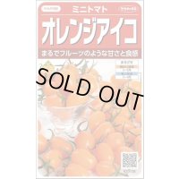 送料無料　[トマト/ミニトマト]　オレンジアイコ　13粒　(株)サカタのタネ　実咲550 （002827）