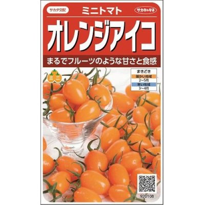 画像1: [トマト/ミニトマト]　オレンジアイコ　13粒 　サカタのタネ（株）実咲500