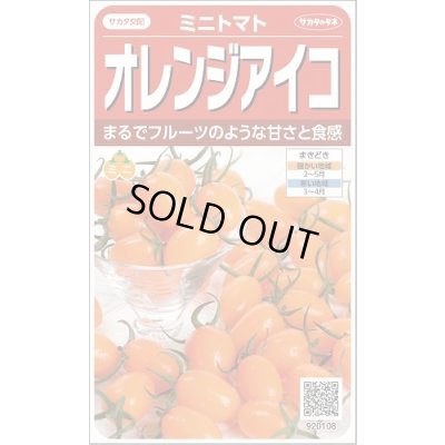 画像1: 送料無料　[トマト/ミニトマト]　オレンジアイコ　13粒　(株)サカタのタネ　実咲550 （002827）