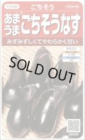 送料無料　[なす]　ごちそうなす約50粒　(株)サカタのタネ　 実咲550（002834）